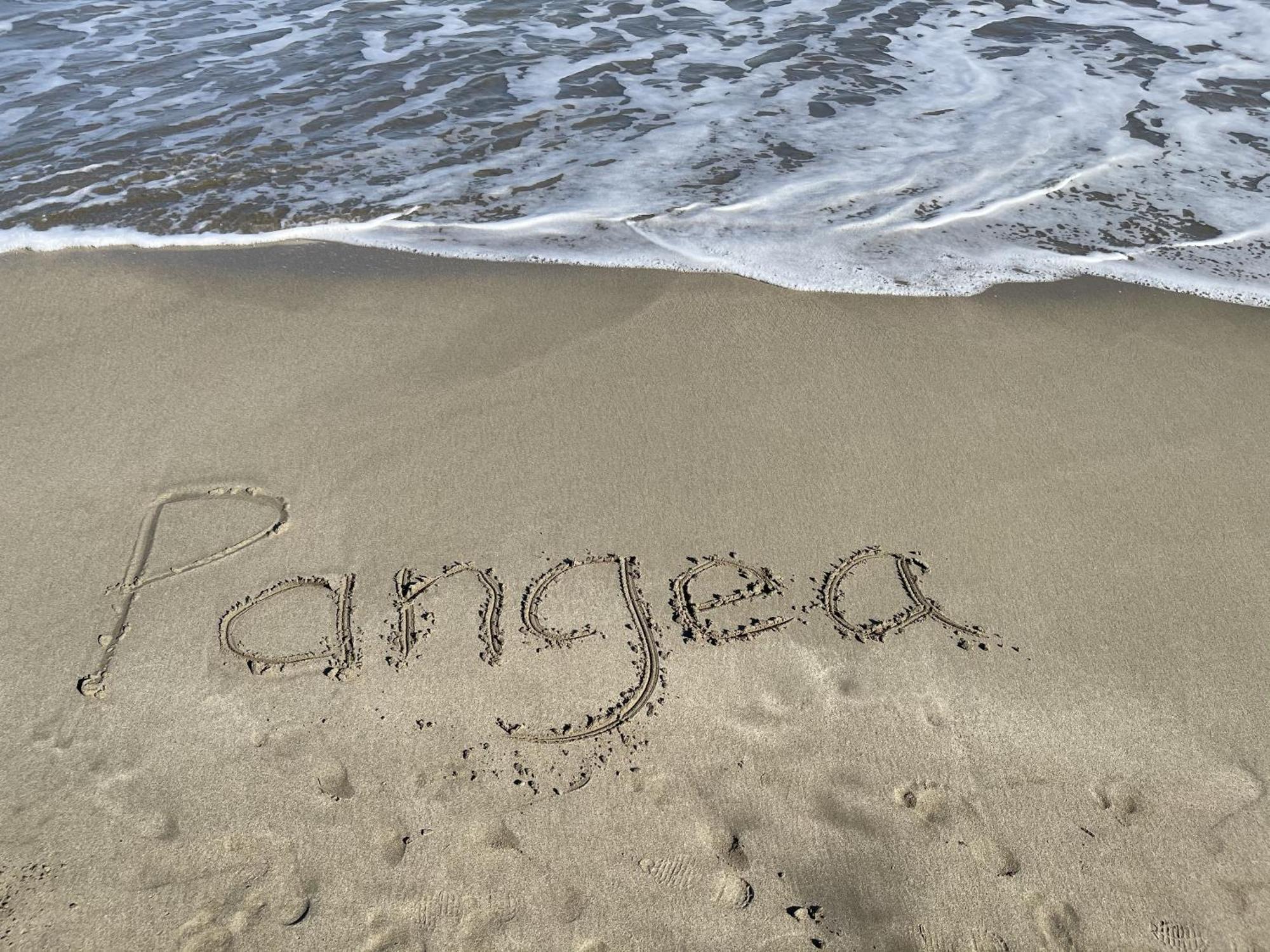 Casa Blanca Beachfront House With Shared Pool Access Pangea Lodge Manzanillo  Exterior foto